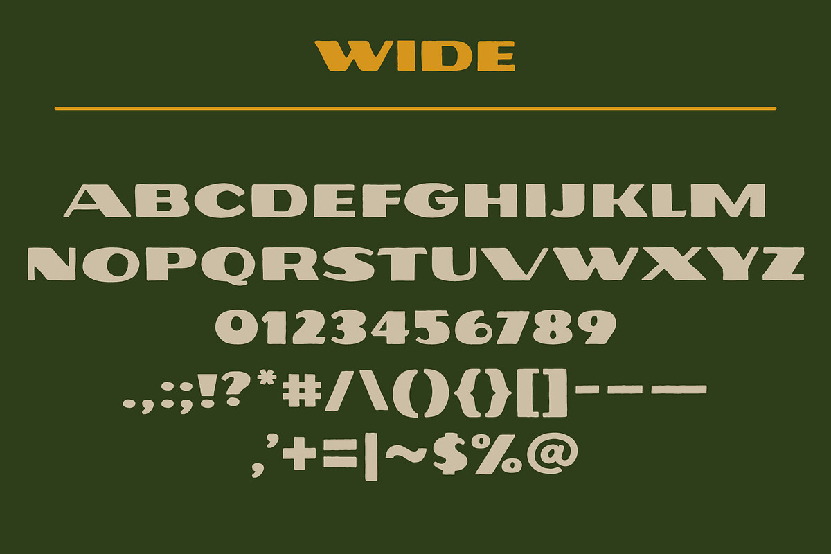 John Muir Sans – National Park Font, a Sans Serif Font by Vicarel Studios (Photo 12 of 16)