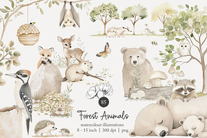 85 forest animal clip art, an Animal Illustration by Poppy Lane Studio