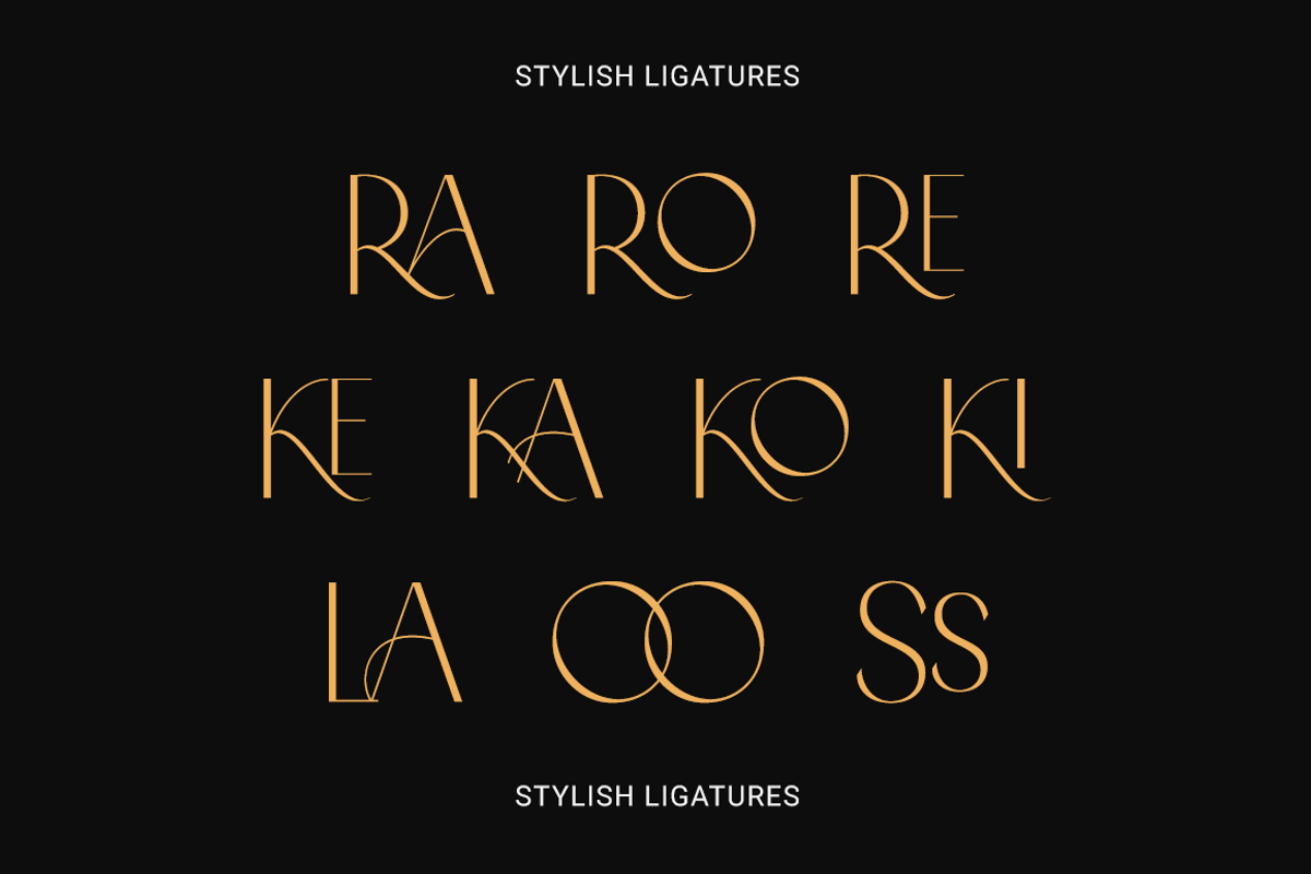 Problack - Elegant Sans Serif, a Sans Serif Font by RockboyStd (Photo 10 of 12)