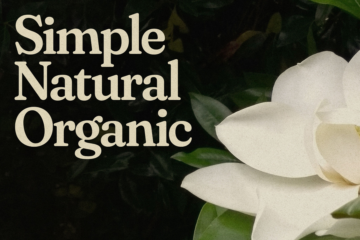 Janelle | Soft Serif Font, a Serif Font by Sombrero Craft (Photo 13 of 13)