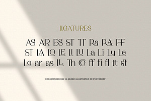 My Rayne - Stylish Serif Font