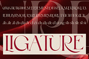 Wosh, a Serif Font by zaaintype (Thumbnail 5 of 12)