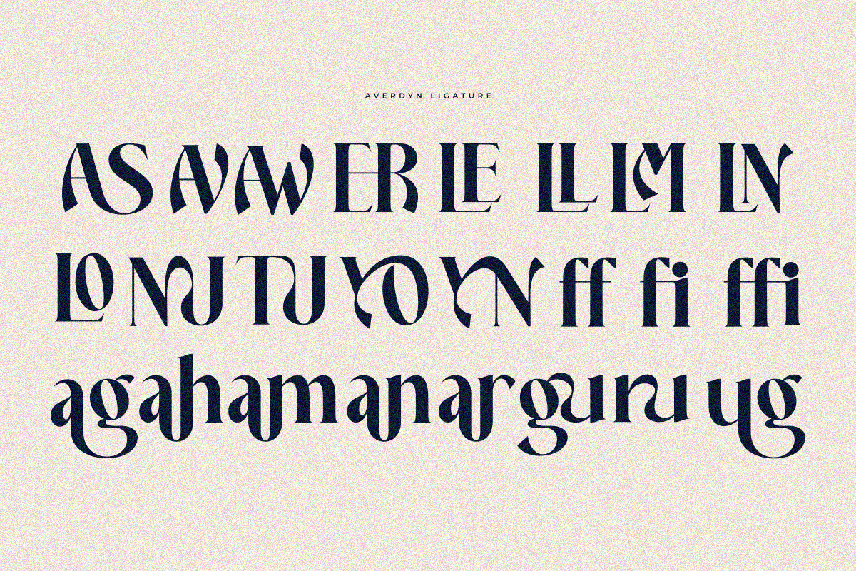 Averdyn, a Serif Font by zaaintype (Photo 9 of 10)
