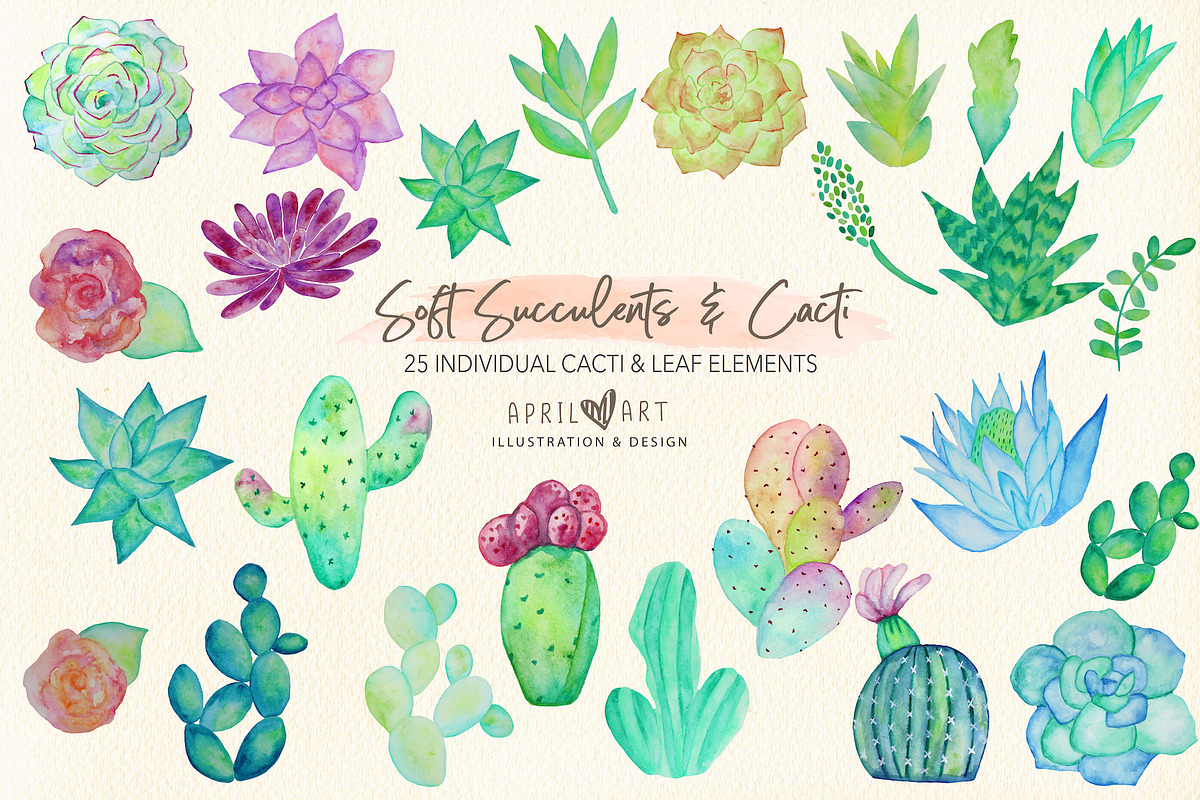 Cacti & Succulent Watercolor Clipart, an Illustration by Oh Darling Graphics (Photo 2 of 4)