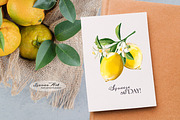 Lemons Clipart Set, a Seasonal Illustration by Leonaa art (Thumbnail 3 of 11)