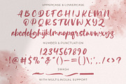Ping Typeface - Handbrush Font, a Handwritten Font by StringLabs (Thumbnail 8 of 8)