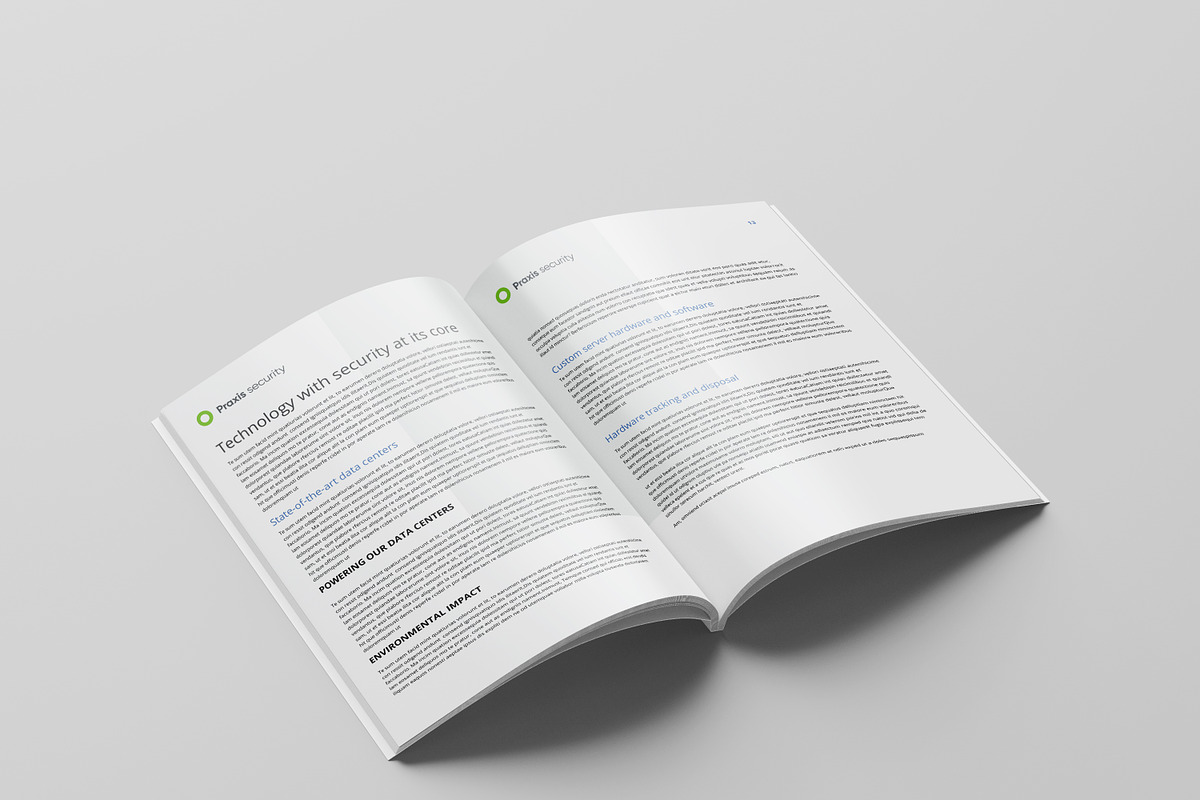 White Paper Template, a Brochure Template by azadcsstune (Photo 12 of 13)