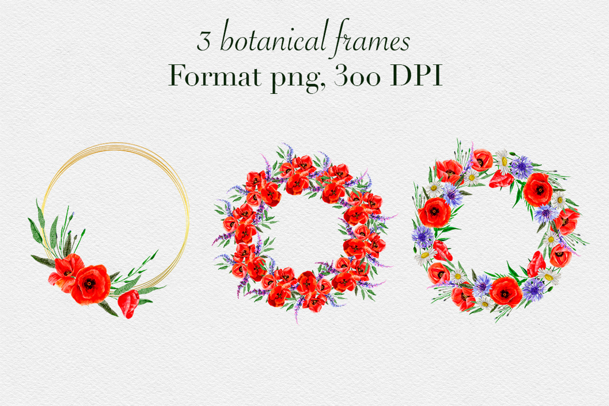 Watercolor wildflowers collection, a Decorative Illustration by mArtstore (Photo 6 of 8)