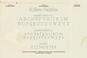 Killeen Font Family, a Serif Font by nadispasibenko (Thumbnail 7 of 12)