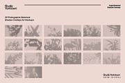 Kage - Botanical Shadow Overlays, a Texture Graphic by Studio Yorktown (Thumbnail 2 of 10)
