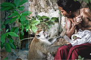 Lightroom Presets (Mobile + Desktop), a Layer Style Add-On by yosscinematic (Thumbnail 12 of 18)