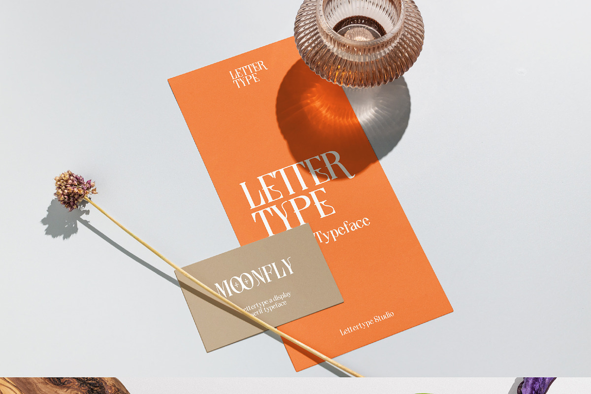 Lettertype a Stunning Display Serif, a Serif Font by Lettertype Studio (Photo 14 of 20)