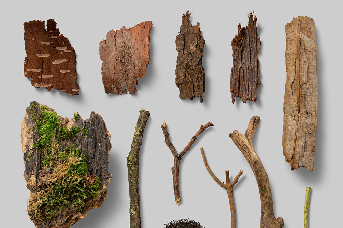 Nature Scene Generator, a Product Mockup by h3design (Photo 14 of 19)
