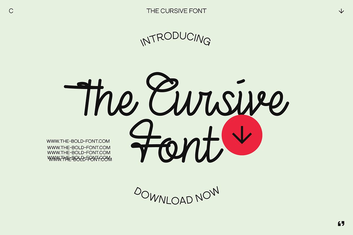 THE CURSIVE FONT, a Font by THE BOLD FONT. (Photo 1 of 9)