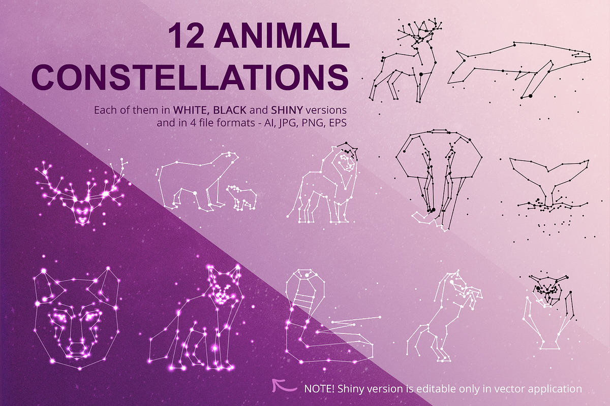 Constellation vector MegaPack, an Animal Illustration by ❤️ KiraSolly (Photo 4 of 17)