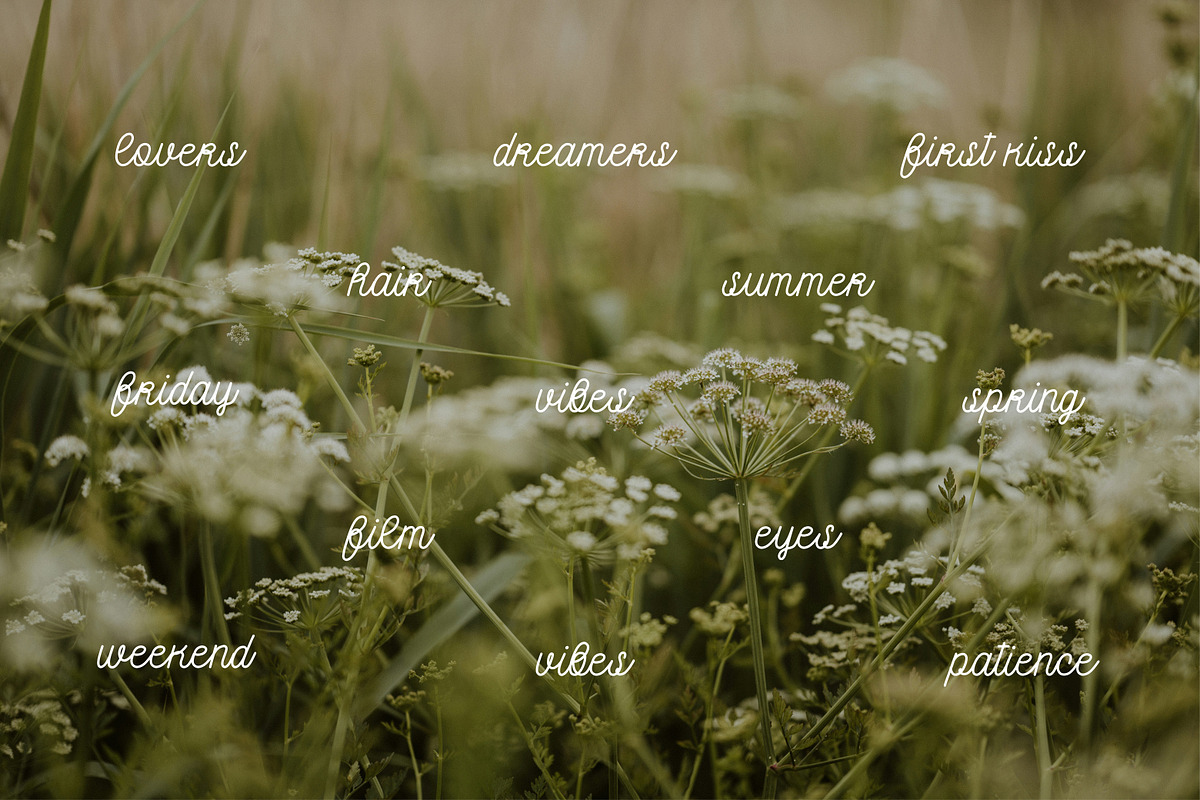 Love Lottery: Monoline font, a Script Font by MCKP*ME (Photo 8 of 8)