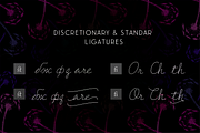 Delirio DemoFree link in description, a Script Font by graffistyling (Thumbnail 13 of 15)