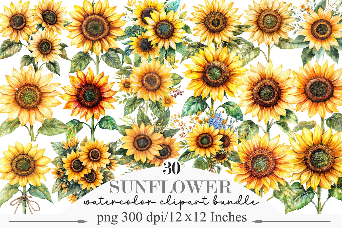 Watercolor Sunflower Clipart Bundle, an Illustration by Designking (Photo 1 of 6)