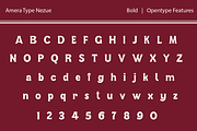 Nezue, a Font by Amera Type (Thumbnail 9 of 10)