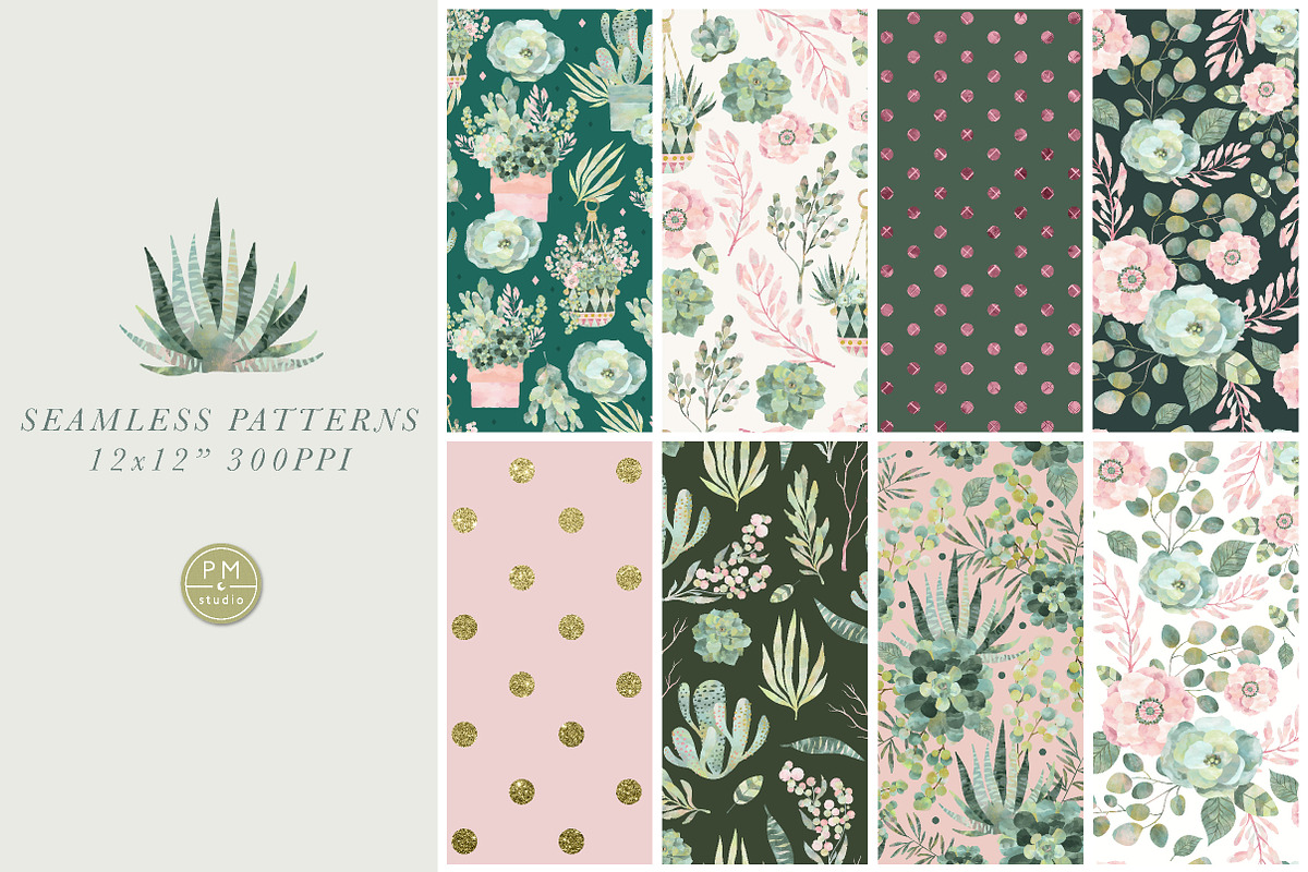 Lush Succulent Bundle, an Illustration by PetiteMarket (Photo 4 of 5)