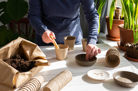 Woman is planting seedlings at home, a Food & Drink Photo by Pandateam