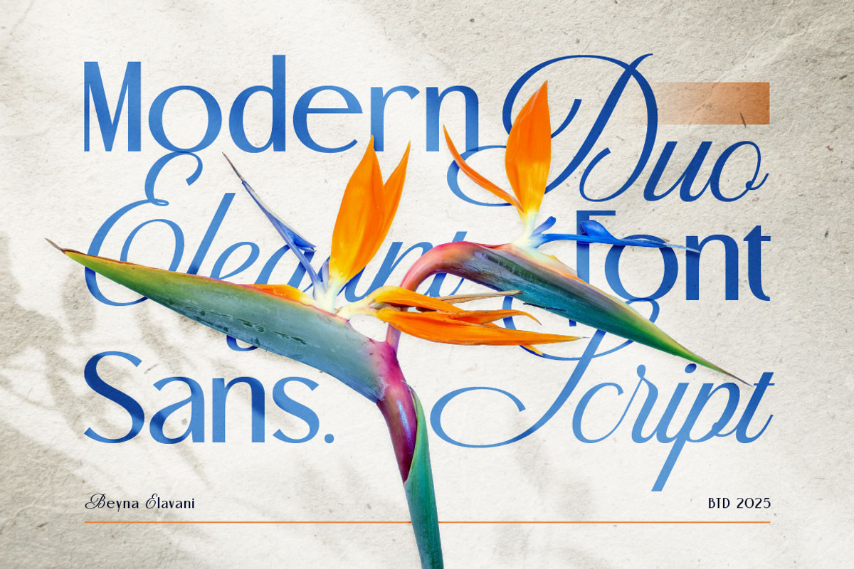 Beyna Elvani - Elegant Sans & Script, a Script Font by Burntilldead (Photo 6 of 12)