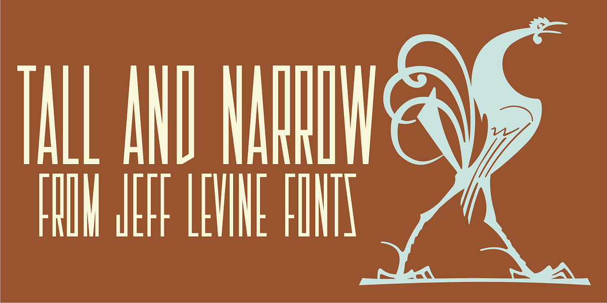 Tall And Narrow JNL, a Sans Serif Font by Jeff Levine Fonts