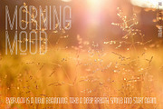 WildWide | Width Variable Typeface, a Sans Serif Font by Kandella's Art (Thumbnail 9 of 10)