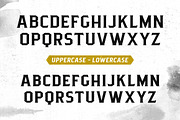 Pittsbrook Serif, a Serif Font by Twicolabs Fontdation (Thumbnail 2 of 12)