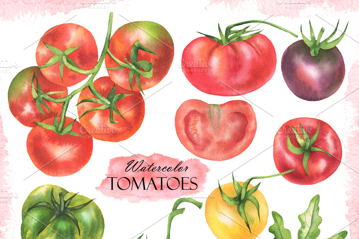 Watercolor Tomatoes, a Food Illustration by OlDm_Shop (Photo 2 of 5)