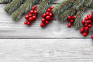 Christmas red berries and evergreen, a Holiday Photo by MistyDay