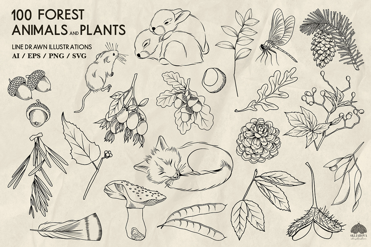 Forest Life Line Art + Procreate, an Object Illustration by Skliarova (Photo 4 of 6)