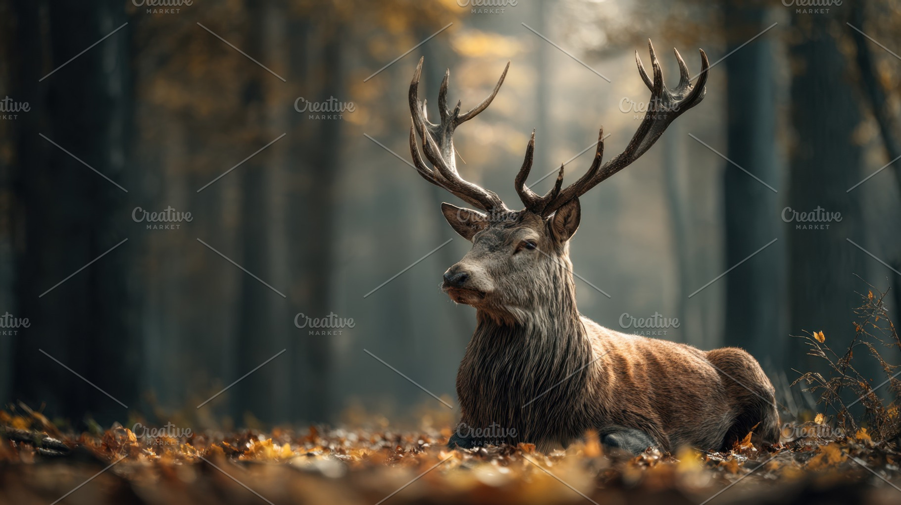 Majestic deer resting in the woods, a Photo by Beautiful things