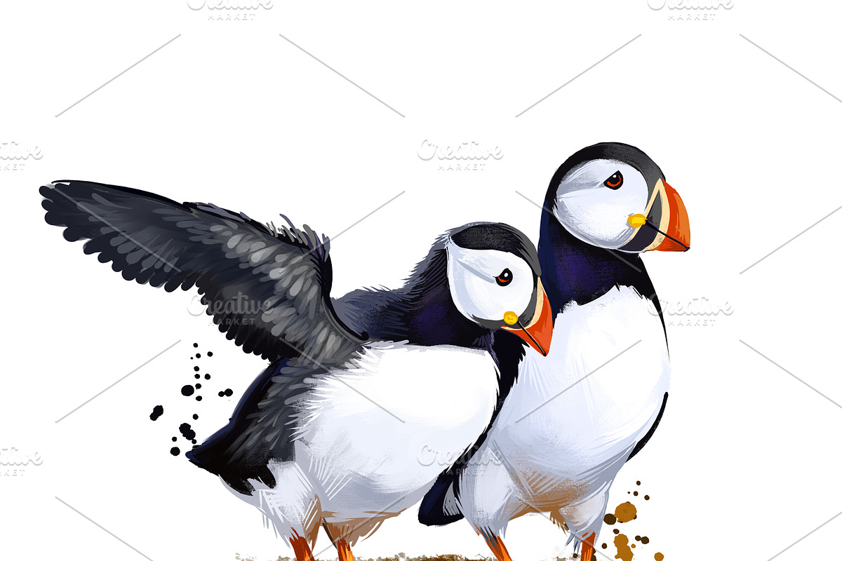 Tropical Birds SET, Exotic Species, an Animal Illustration by Dneprstock (Photo 3 of 10)