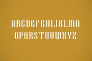 Dowork Decorative Serif, a Serif Font by Revoltan Studios (Thumbnail 3 of 6)