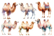 Watercolor Camel clipart, an Illustration by Designworld (Thumbnail 3 of 5)