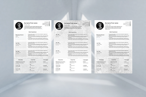 Modern Entry Level CV 3 Templates