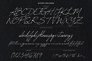 Luxury Wedding Font Bundle, a Serif Font by AndrewPixelType (Thumbnail 44 of 44)