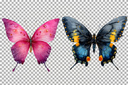 Floral Butterfly Clipart Summer PNG, an Animal Illustration by SugarCloudStudioArt (Thumbnail 8 of 8)