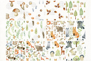 70% off. Bundle. Woodland animals., an Animal Illustration by TaPilipa (Thumbnail 8 of 38)