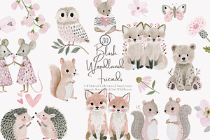 woodland animal clipart set, a Decorative Illustration by Patishop Art