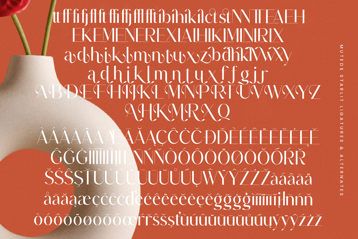 Muteds Starlit Modern Serif Font, a Sans Serif Font by timelesstype.co (Photo 19 of 20)