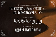 Orchard Song - Decorative Serif, a Serif Font by Typefactoryco (Thumbnail 3 of 9)