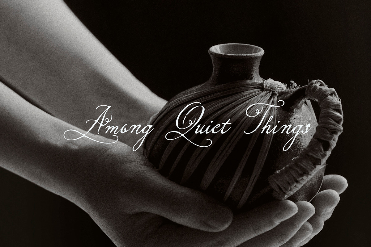 North Elm - Decorative Script Font, a Script Font by Mneme (Photo 2 of 8)