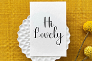 Summer Vintage, a Handwritten Font by FreshTypeINK (Thumbnail 5 of 8)