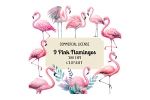 9 Pink Flamingos Clipart