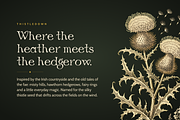Thistledown: Whimsical Fantasy Serif, a Serif Font by Lauren Hodges (Thumbnail 2 of 13)