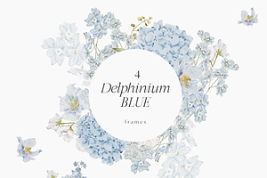 Delphinium Blue Delicate Flowers