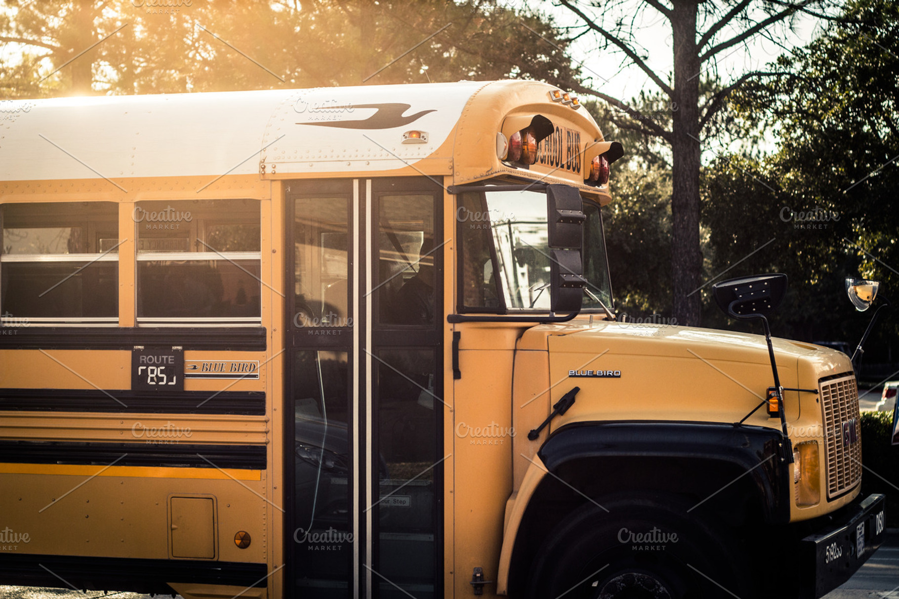 School bus featuring bus, school, and niccer, a Transportation Photo by NiccerPhotography