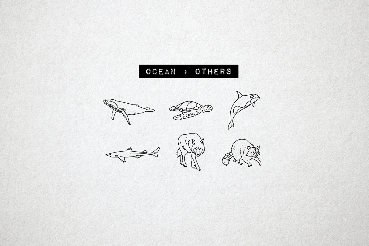 Wild Animal Icons Pack, an Outline Icon by Hatch Design Workshop (Photo 6 of 10)
